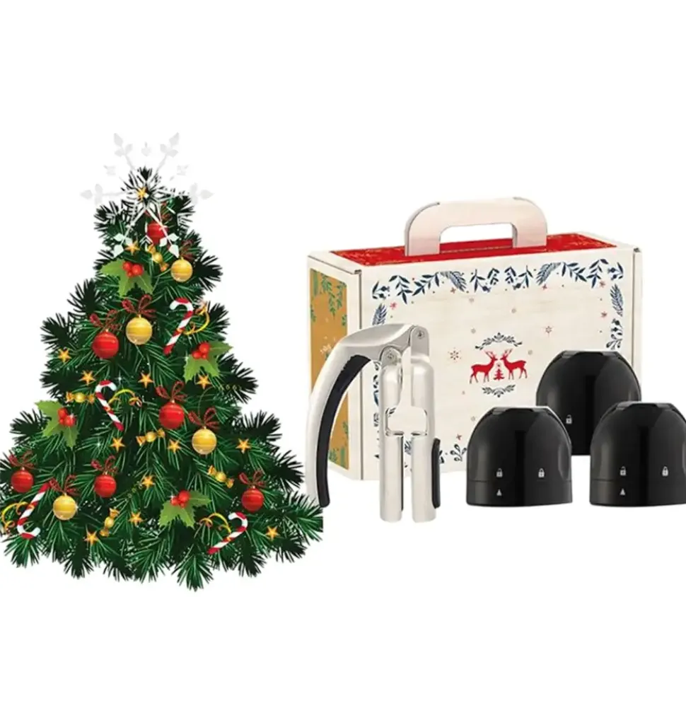 Champagne Celebration Hamper